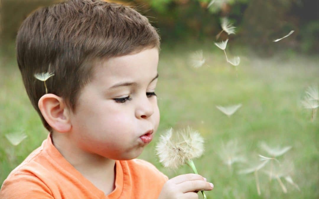 Conférence Parentalité à Chevaigné « Comprendre et accompagner les émotions du jeune enfant et de l’adulte »