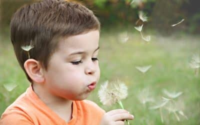 Conférence Parentalité à Chevaigné « Comprendre et accompagner les émotions du jeune enfant et de l’adulte »